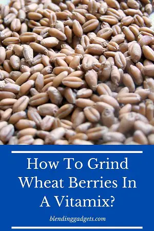 grinding wheat berries in a Vitamix