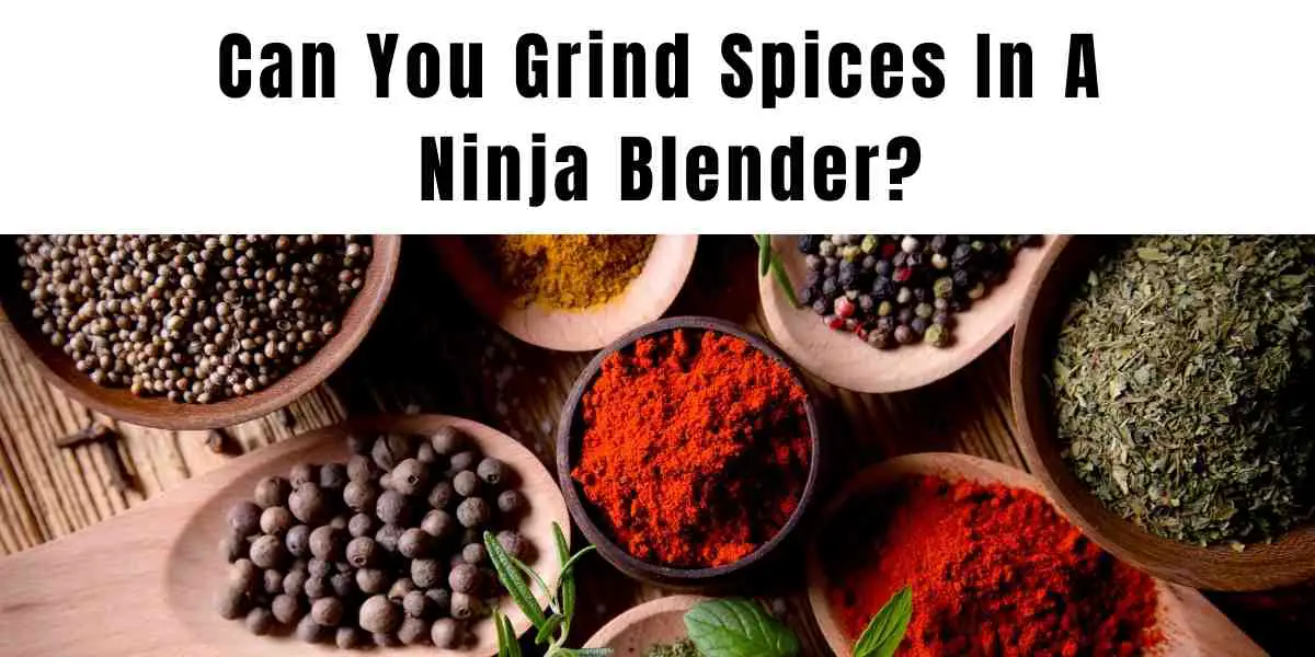 can you grind spices in a ninja blender