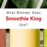 What Kind Of Blender Does Jamba Juice Use?