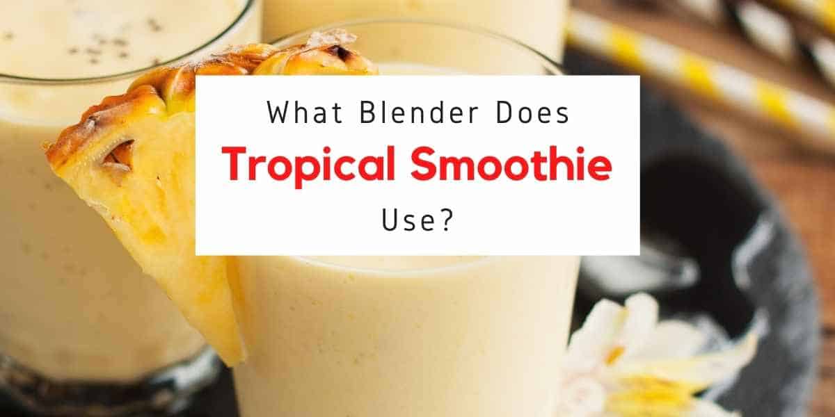 Tropical smoothie blender