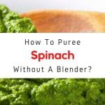 How To Puree Baby Food Without A Blender