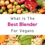 What Is The Best Blender For Hot Sauce In 2023? (5 Top Options)