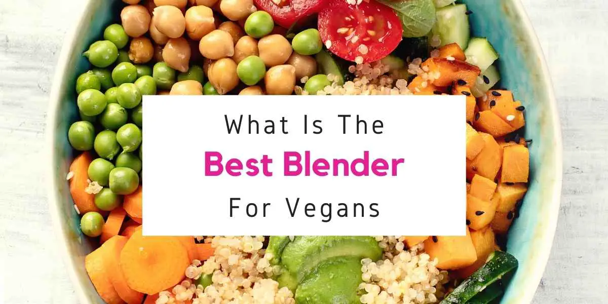 best blender vegan