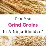 Can You Grind Grains In A Vitamix Blender?