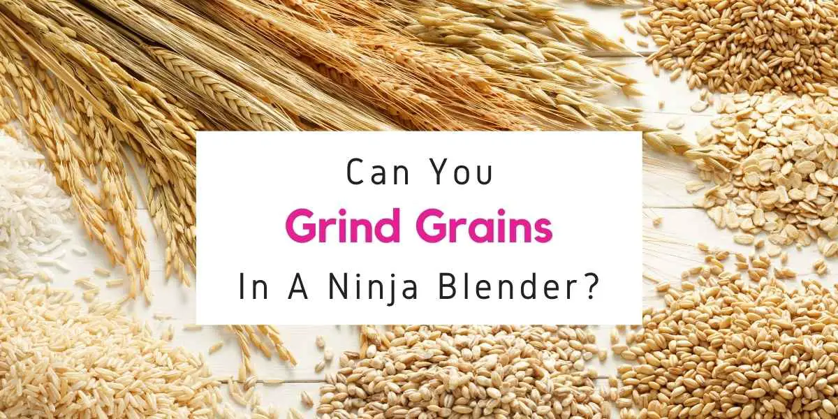 Ninja blender grind wheat