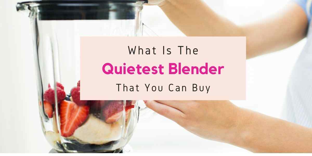 best quiet blender