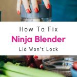 Can Ninja Blender Crush Ice? (Answered)