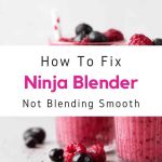 Can You Grate Cheese With Ninja Food Processor? (Answered)