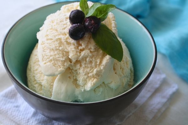 Ninja blender vanilla ice cream recipe