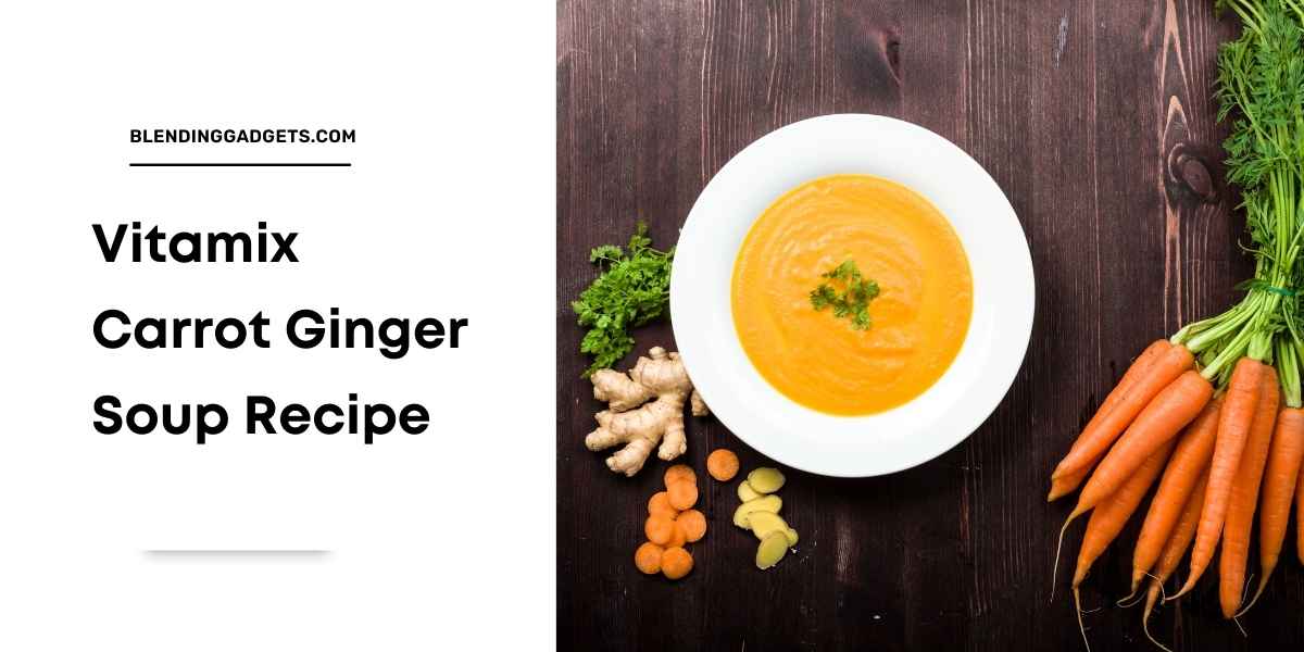 vitamix raw carrot ginger soup