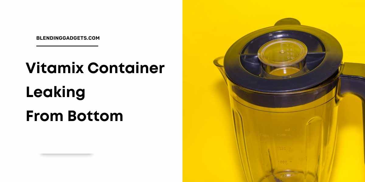 why does Vitamix container leak from bottom