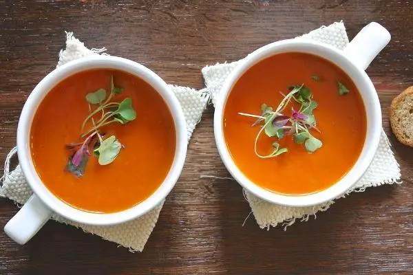 ninja blender tomato soup recipes