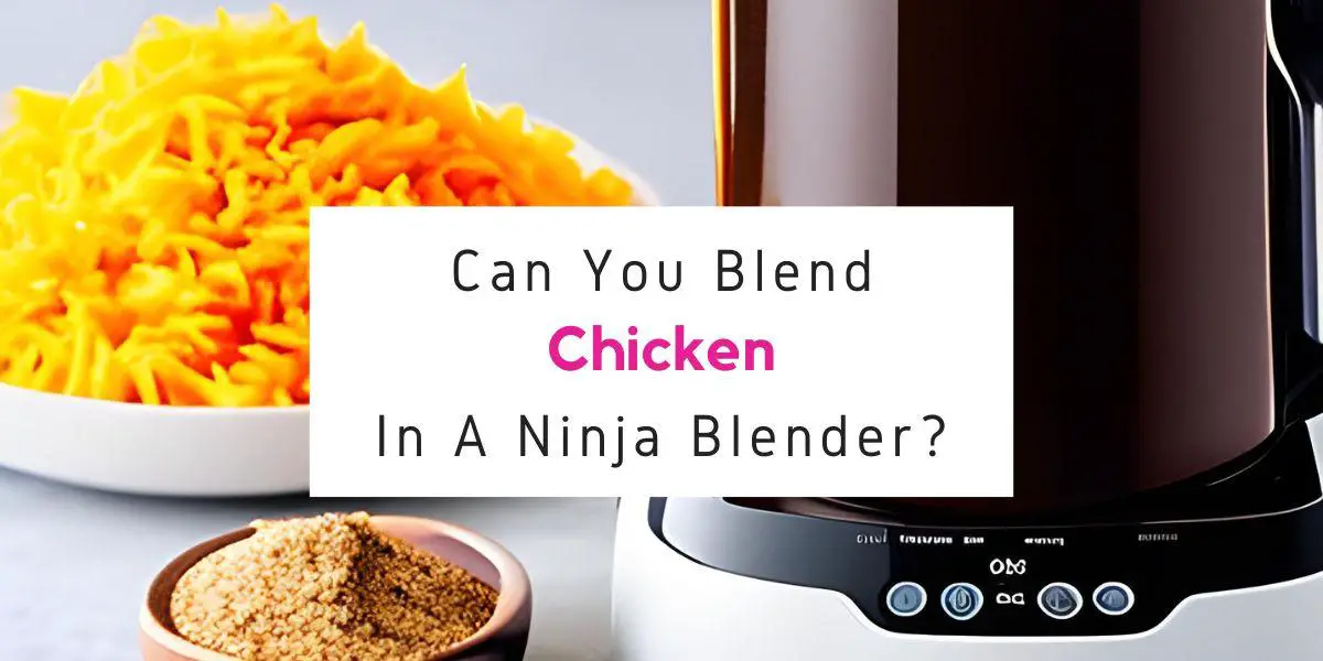 can you blend chicken in Ninja blender