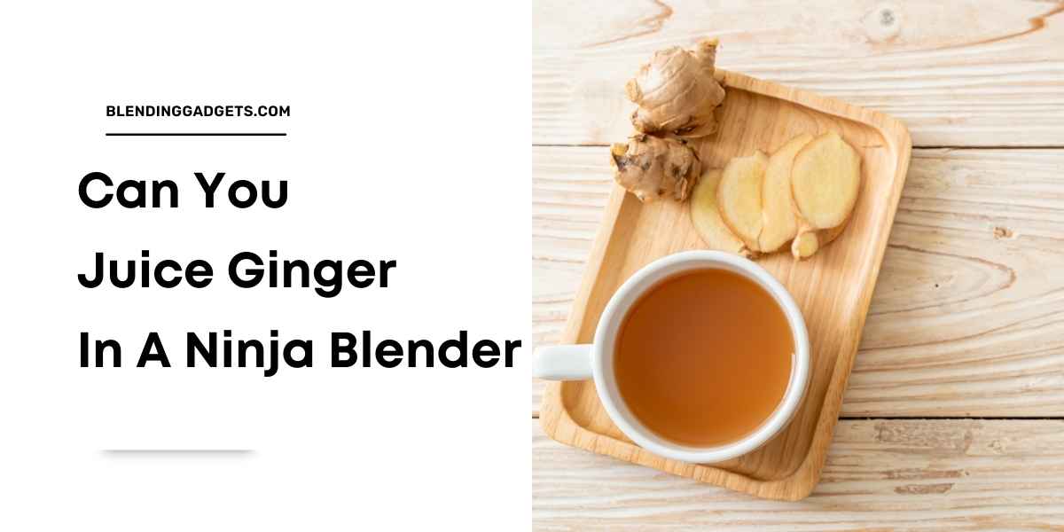 can you juice ginger in a ninja blender