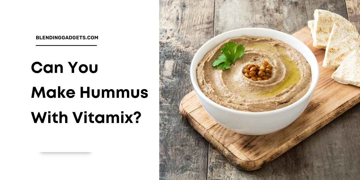 can you make hummus with vitamix blender