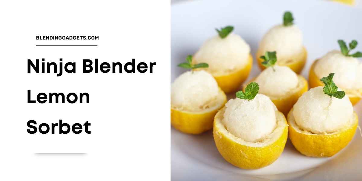lemon sorbet recipe in a Ninja blender