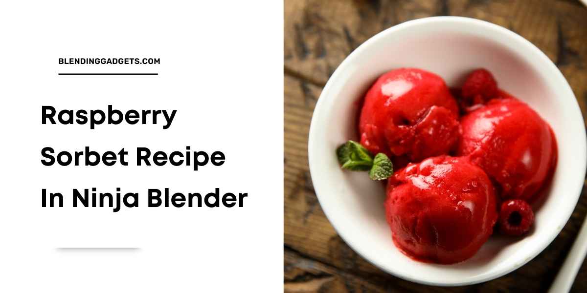 how to make raspberry sorbet in ninja blender