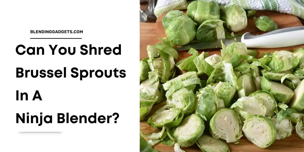 can you shred brussel sprouts in a ninja blender