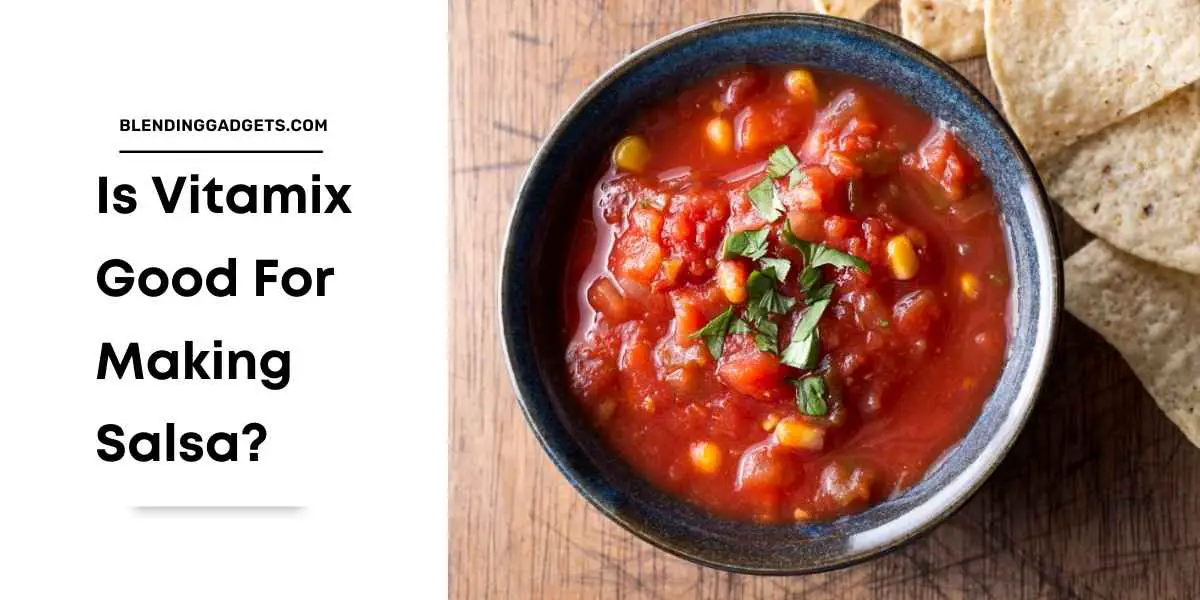 is vitamix good for salsa